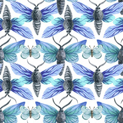 Watercolor set pattern of butterfly isolated on white background. Handpaiting watercolor illustration on white background.