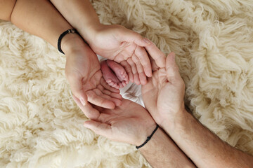 Feet of the newborn on the palms of the parents. The palms of the father and mother are holding the...