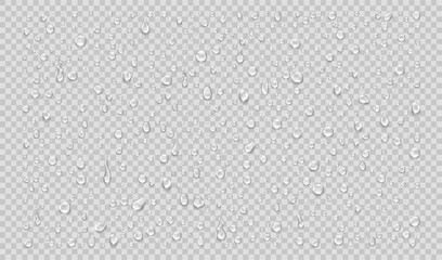 Fototapeta Set of isolated water drops on transparent background. Realistic vector illustration.. obraz