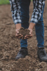Male hands touching soil on the field. A farmer checks quality of soil before sowing. Agriculture, gardening or ecology concept.