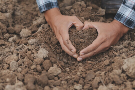 Male hands touching soil on the field. A farmer checks quality of soil before sowing. Agriculture, gardening or ecology concept.
