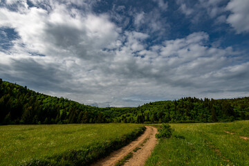 Fototapeta na wymiar Dirt road leads through beautiful green valley at early summer in Transylvania, Romania.