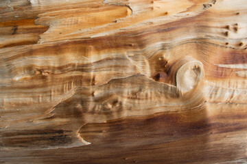 madera, textura, corteza