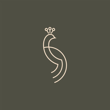 recommend clip art: Luxury Peacock logo in minimalist and simple line art style