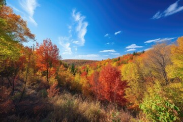 Fototapeta premium forest with colorful autumn foliage and vibrant blue sky, created with generative ai