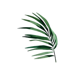 Modern exotic leave watercolor, great design for any purposes. Isolated vector element. Vector art illustration. Wedding floral decoration.
