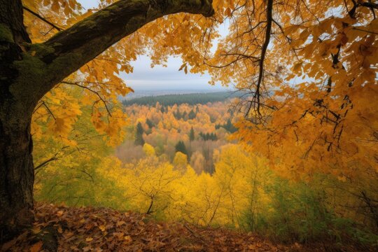 tree covered in golden leaves, with a view of the forest below, created with generative ai