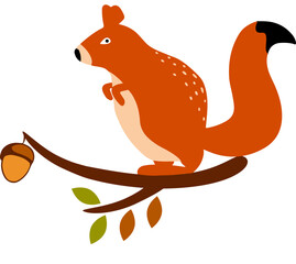 Squirrel with acorn nut, vector or color illustration. Pro Vector
