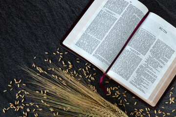 Ruth open holy bible book with barley stalk and ripe grains on dark background. Top table view....
