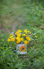 a bouquet of wild flowers in a mug on a background of green summer grass - 611050589