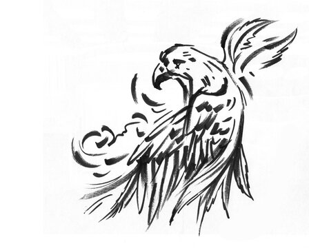 eagle tattoo design pen drawing for card illustration tattoo