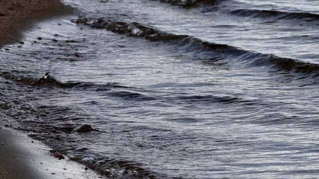 Arjeplog, Sweden Freshwater lapping up onto a small beach on the Hornavan Lake.