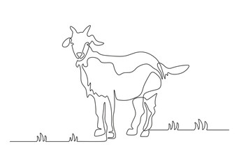 Fototapeta na wymiar Continuous one line drawing of a goat vector illustration. Premium vector. 
