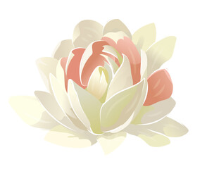 Vector flower for wedding invitation, elegant set of decorative design elements. Floral pastel vector style stock illustration - 611053377