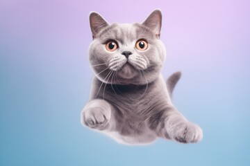 Close-up portrait photography of a funny british shorthair cat leaping against a pastel or soft colors background. With generative AI technology