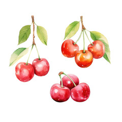 Watercolor Style Cut-off Cherry Illustration