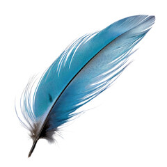 blue feather isolated on transparent background cutout  - obrazy, fototapety, plakaty
