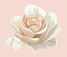 Rose vector flower for wedding invitation, elegant set of decorative design elements. Floral pastel vector style stock illustration - 611056504