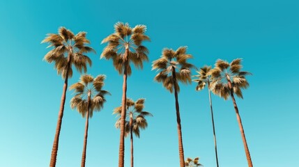 Fototapeta premium A group of palm trees against a blue sky. Created with Generative Ai Technology