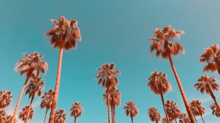 A group of palm trees with a blue sky in the background. Created with Generative Ai Technology