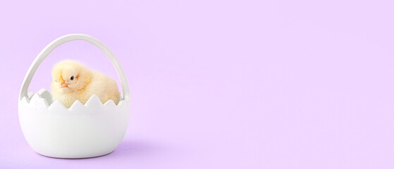 Cute little chick in basket on lilac background with space for text