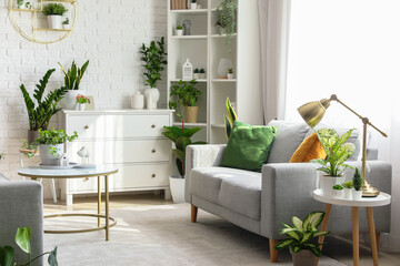 Interior of living room with sofa, tables and houseplants