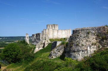 Fototapeta na wymiar The castle of La Roche Guyon in france, Europe