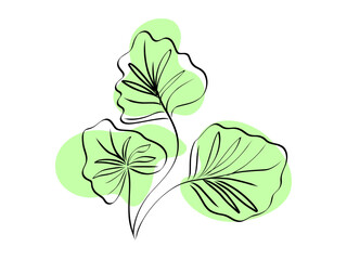 Abstract tropical plant hand drawn with green blotches on background. Doodle leaves.