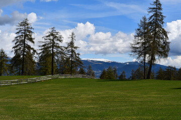 Fototapeta na wymiar Schöne Landschaft am Salten in Südtirol 