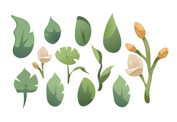 Horizontal white banner of set floral elements. Backdrop decorated with flowers and leaves border. Botanical spring vector illustration on white background
