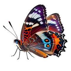 Beautiful colored butterfly  Ai generated image