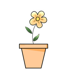 Flower plants in a pot