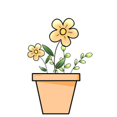 Flower plants in a pot