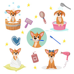 Pet care concept. Collection of cute dogs. Pet care graphic resource for graphics, content, banners, greeting cards. Vector illustration in cartoon style. Pet grooming tools: hair dryer, comb, shampoo
