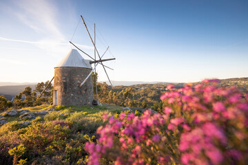Traditional windmills in Central Portugal. Sunset in Coimbra, Portugal. Beautiful sunny day....