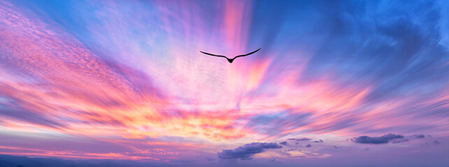 Sunset Bird Flying Silhouette Surreal Beautiful Hope Inspirational Flight Banner Header