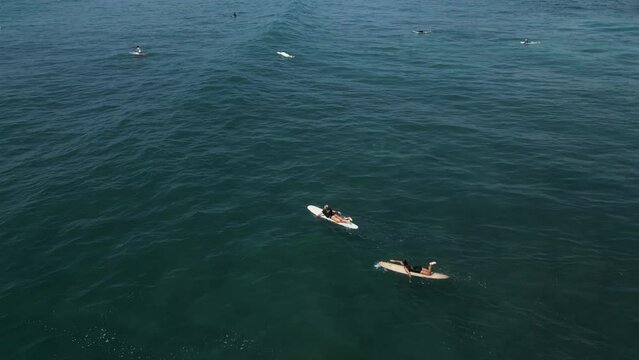 Young female surfers rowing on surfboard at scenic tropical location in sea on sunny day aerial shot. Surfing girls enjoying water sport paddling and surfing on summer vacation view from drone