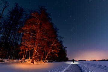 Fototapete bei efototapeten.de bestellen   