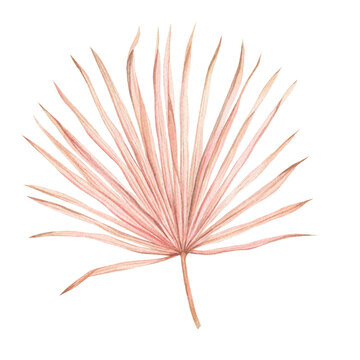 Boho style illustration pink palm leaves, leaf, dried flowers. Design for invitations, weddings, party, celebration