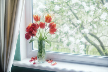 Bouquet of tulips in a glass vase on the windowsill, Spring.
Glass vase with a bouquet of beautiful tulips on the windowsill. Becket of red tulips at the window, outside the window is spring.