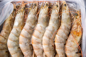 frozen shrimp raw gambas seafood prawn meal food snack on the table copy space food background rustic top view 