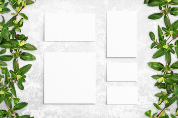 Composition of leaves and white watercolor sheets of paper on gray concrete background. Tree branches with leaves, blank cards. Nature mockup, ecology poster. Top view, flat lay, close up, copy space
