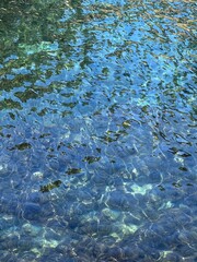 Sea clean water glittering turquoise surface.