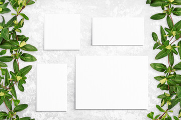 Fototapeta na wymiar Composition of leaves and white watercolor sheets of paper on gray concrete background. Tree branches with leaves, blank cards. Nature mockup, ecology poster. Top view, flat lay, close up, copy space
