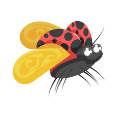 Abstract Flat Cartoon Animal Insect Ladybug Vector Design Style Elements Fauna Wildlife