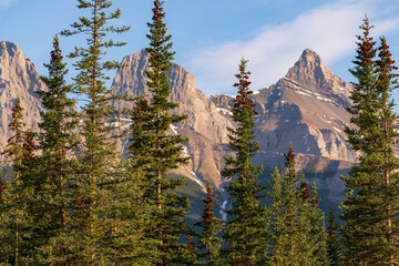 Three Sisters in Canmore during summer time with spruce forest trees in foreground on blue sky...