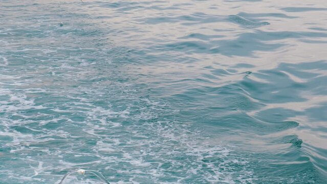 Flying seagull in slow motion over the sea in Istanbul Turkey 120fps slowed to 25 percent and Prince Islands on the background