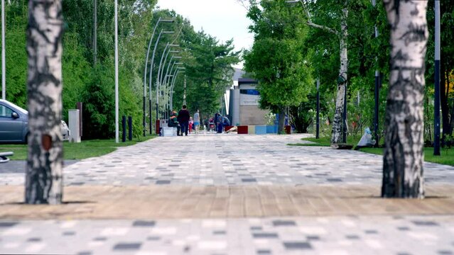 Pedestrian zone laid with paving slabs in city park accurately. White and black paving slabs and birch trees create a beautiful composition