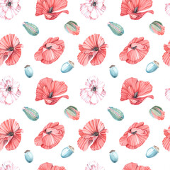 Seamless pattern of watercolor illustrations of pink-red poppy on a white background
Isolated. Handmade work.