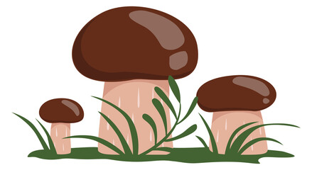 Yellow boletus growing. Cartoon forest nature element